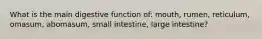 What is the main digestive function of: mouth, rumen, reticulum, omasum, abomasum, small intestine, large intestine?