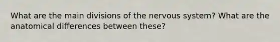 What are the main divisions of the <a href='https://www.questionai.com/knowledge/kThdVqrsqy-nervous-system' class='anchor-knowledge'>nervous system</a>? What are the anatomical differences between these?