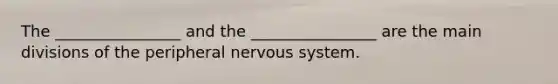 The ________________ and the ________________ are the main divisions of the peripheral nervous system.