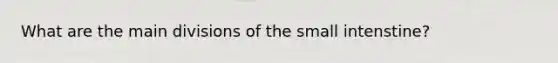 What are the main divisions of the small intenstine?