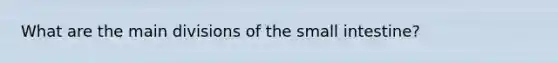 What are the main divisions of the small intestine?