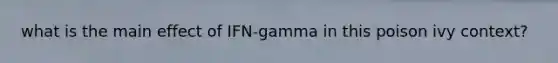 what is the main effect of IFN-gamma in this poison ivy context?