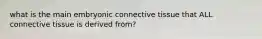 what is the main embryonic connective tissue that ALL connective tissue is derived from?