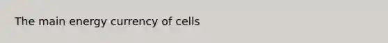 The main energy currency of cells