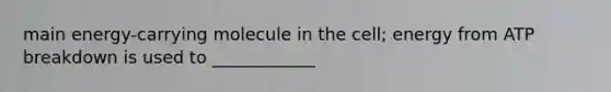main energy-carrying molecule in the cell; energy from ATP breakdown is used to ____________