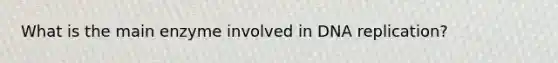 What is the main enzyme involved in DNA replication?