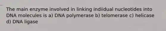 The main enzyme involved in linking indiidual nucleotides into DNA molecules is a) DNA polymerase b) telomerase c) helicase d) DNA ligase