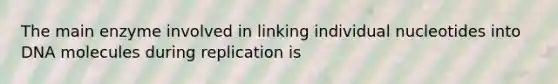 The main enzyme involved in linking individual nucleotides into DNA molecules during replication is