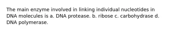 The main enzyme involved in linking individual nucleotides in DNA molecules is a. DNA protease. b. ribose c. carbohydrase d. DNA polymerase.