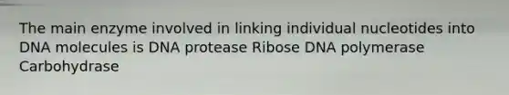 The main enzyme involved in linking individual nucleotides into DNA molecules is DNA protease Ribose DNA polymerase Carbohydrase