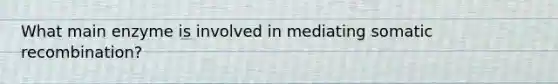 What main enzyme is involved in mediating somatic recombination?