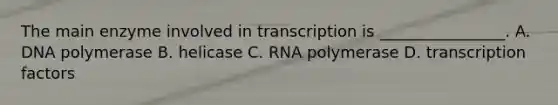 The main enzyme involved in transcription is ________________. A. DNA polymerase B. helicase C. RNA polymerase D. transcription factors