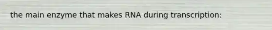 the main enzyme that makes RNA during transcription: