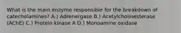 What is the main enzyme responsible for the breakdown of catecholamines? A.) Adrenergase B.) Acetylcholinesterase (AChE) C.) Protein kinase A D.) Monoamine oxidase