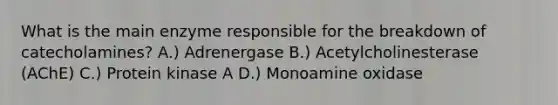 What is the main enzyme responsible for the breakdown of catecholamines? A.) Adrenergase B.) Acetylcholinesterase (AChE) C.) Protein kinase A D.) Monoamine oxidase