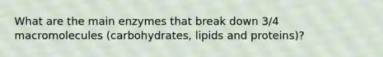 What are the main enzymes that break down 3/4 macromolecules (carbohydrates, lipids and proteins)?