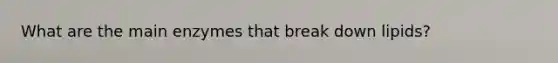 What are the main enzymes that break down lipids?