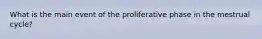 What is the main event of the proliferative phase in the mestrual cycle?