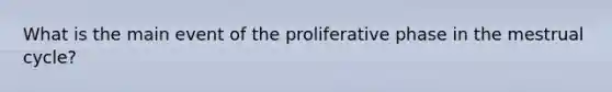 What is the main event of the proliferative phase in the mestrual cycle?