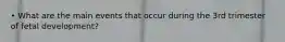 • What are the main events that occur during the 3rd trimester of fetal development?