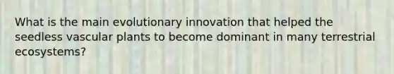 What is the main evolutionary innovation that helped the seedless vascular plants to become dominant in many terrestrial ecosystems?