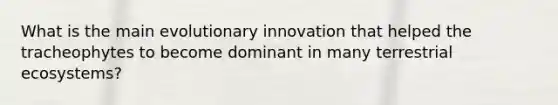 What is the main evolutionary innovation that helped the tracheophytes to become dominant in many terrestrial ecosystems?