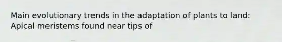 Main evolutionary trends in the adaptation of plants to land: Apical meristems found near tips of