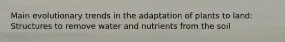 Main evolutionary trends in the adaptation of plants to land: Structures to remove water and nutrients from the soil