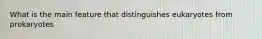 What is the main feature that distinguishes eukaryotes from prokaryotes