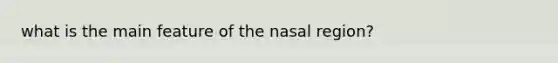 what is the main feature of the nasal region?