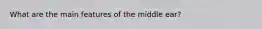 What are the main features of the middle ear?