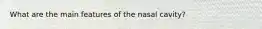 What are the main features of the nasal cavity?