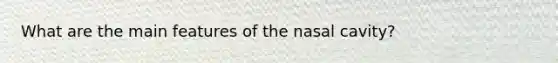 What are the main features of the nasal cavity?