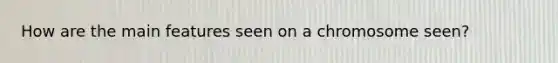 How are the main features seen on a chromosome seen?