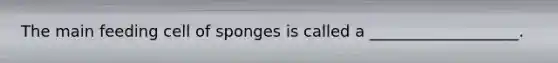 The main feeding cell of sponges is called a ___________________.
