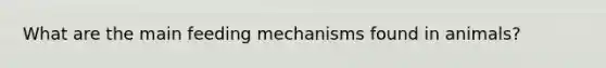 What are the main feeding mechanisms found in animals?