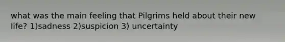 what was the main feeling that Pilgrims held about their new life? 1)sadness 2)suspicion 3) uncertainty