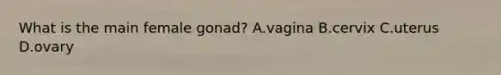 What is the main female gonad? A.vagina B.cervix C.uterus D.ovary