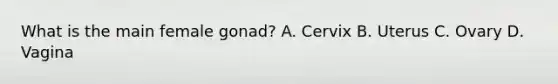 What is the main female gonad? A. Cervix B. Uterus C. Ovary D. Vagina