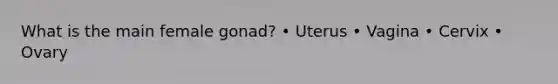 What is the main female gonad? • Uterus • Vagina • Cervix • Ovary