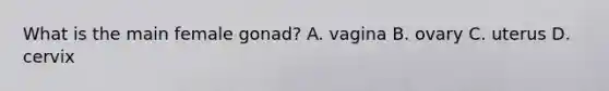 What is the main female gonad? A. vagina B. ovary C. uterus D. cervix