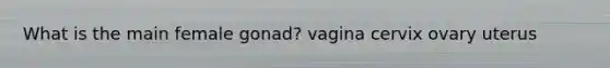 What is the main female gonad? vagina cervix ovary uterus