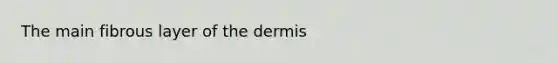 The main fibrous layer of <a href='https://www.questionai.com/knowledge/kEsXbG6AwS-the-dermis' class='anchor-knowledge'>the dermis</a>