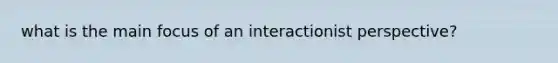 what is the main focus of an interactionist perspective?