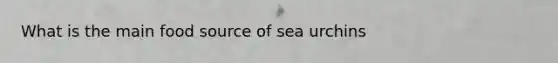 What is the main food source of sea urchins