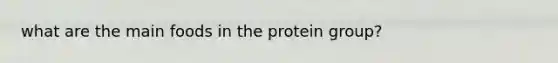 what are the main foods in the protein group?