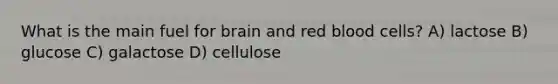 What is the main fuel for brain and red blood cells? A) lactose B) glucose C) galactose D) cellulose