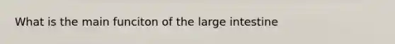 What is the main funciton of the large intestine