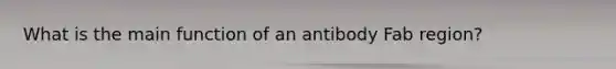 What is the main function of an antibody Fab region?