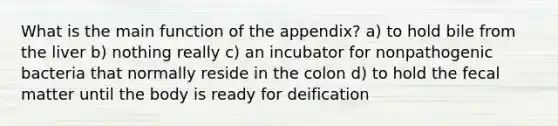 What is the main function of the appendix? a) to hold bile from the liver b) nothing really c) an incubator for nonpathogenic bacteria that normally reside in the colon d) to hold the fecal matter until the body is ready for deification